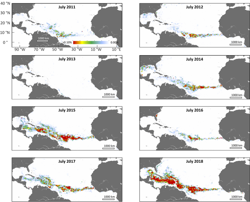 Historical data of the seaweed bloom from 2011 to 2018.